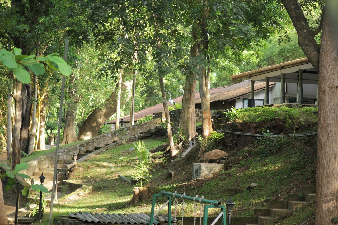 מלון דמבולה Dambulu Oya Family Park מראה חיצוני תמונה