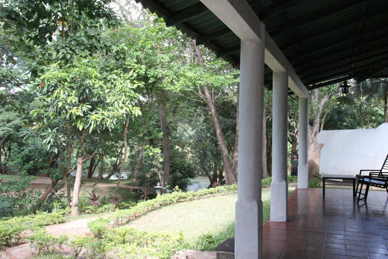מלון דמבולה Dambulu Oya Family Park מראה חיצוני תמונה