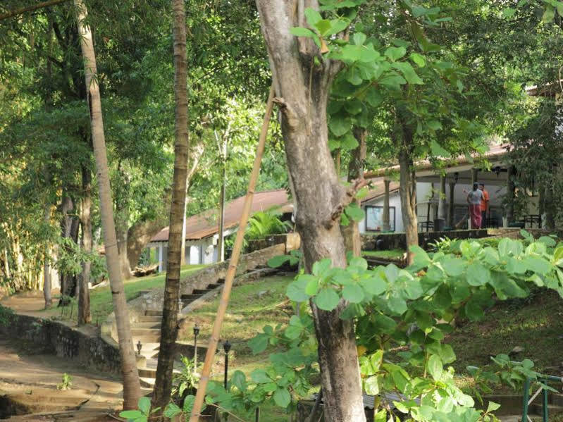 מלון דמבולה Dambulu Oya Family Park מראה חיצוני תמונה
