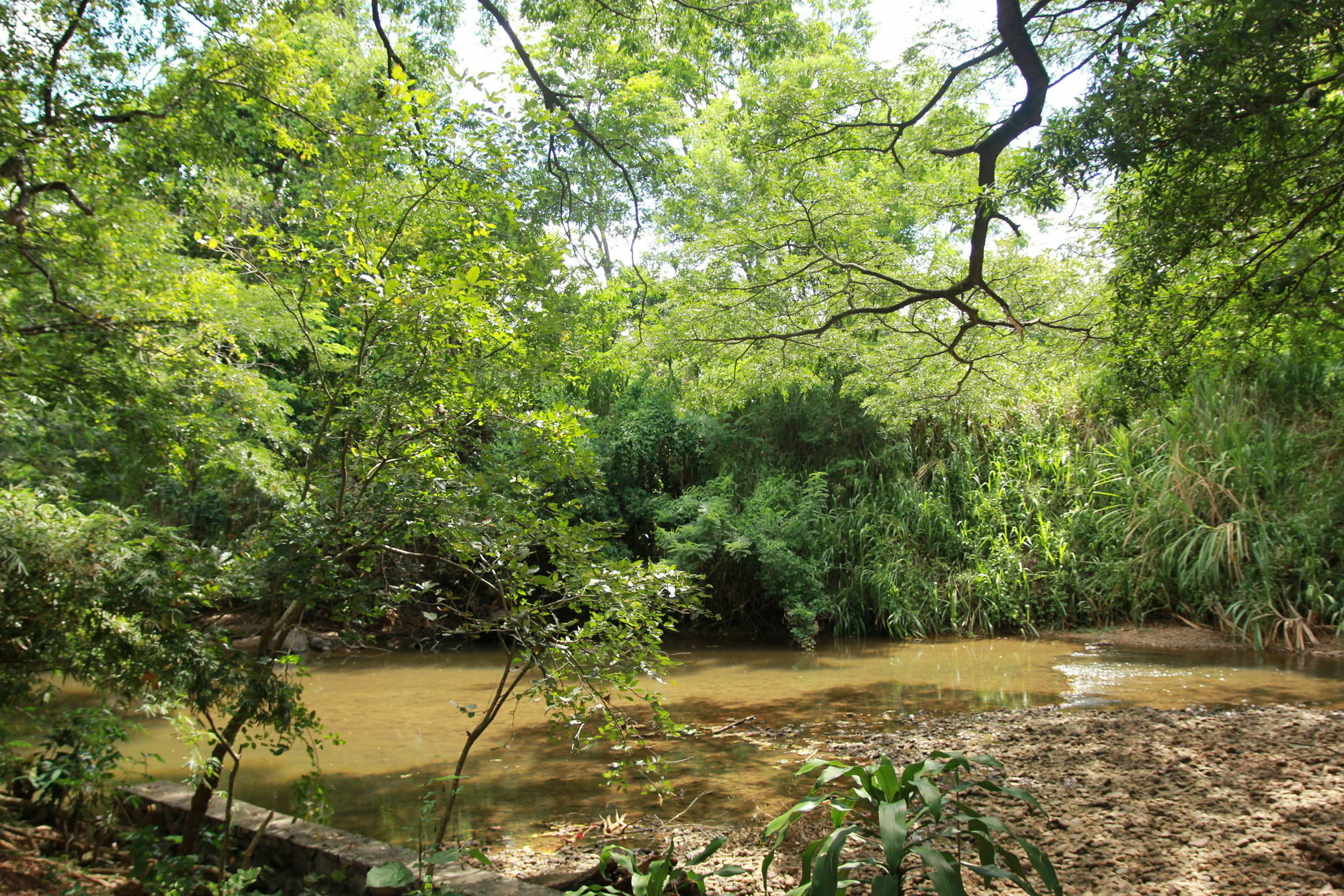 מלון דמבולה Dambulu Oya Family Park מראה חיצוני תמונה