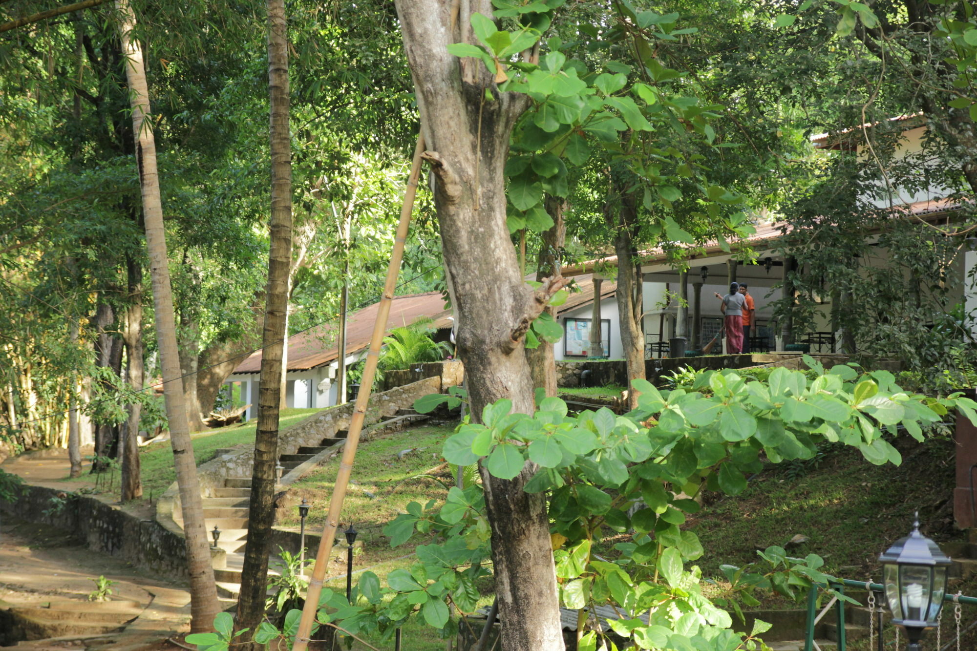 מלון דמבולה Dambulu Oya Family Park מראה חיצוני תמונה