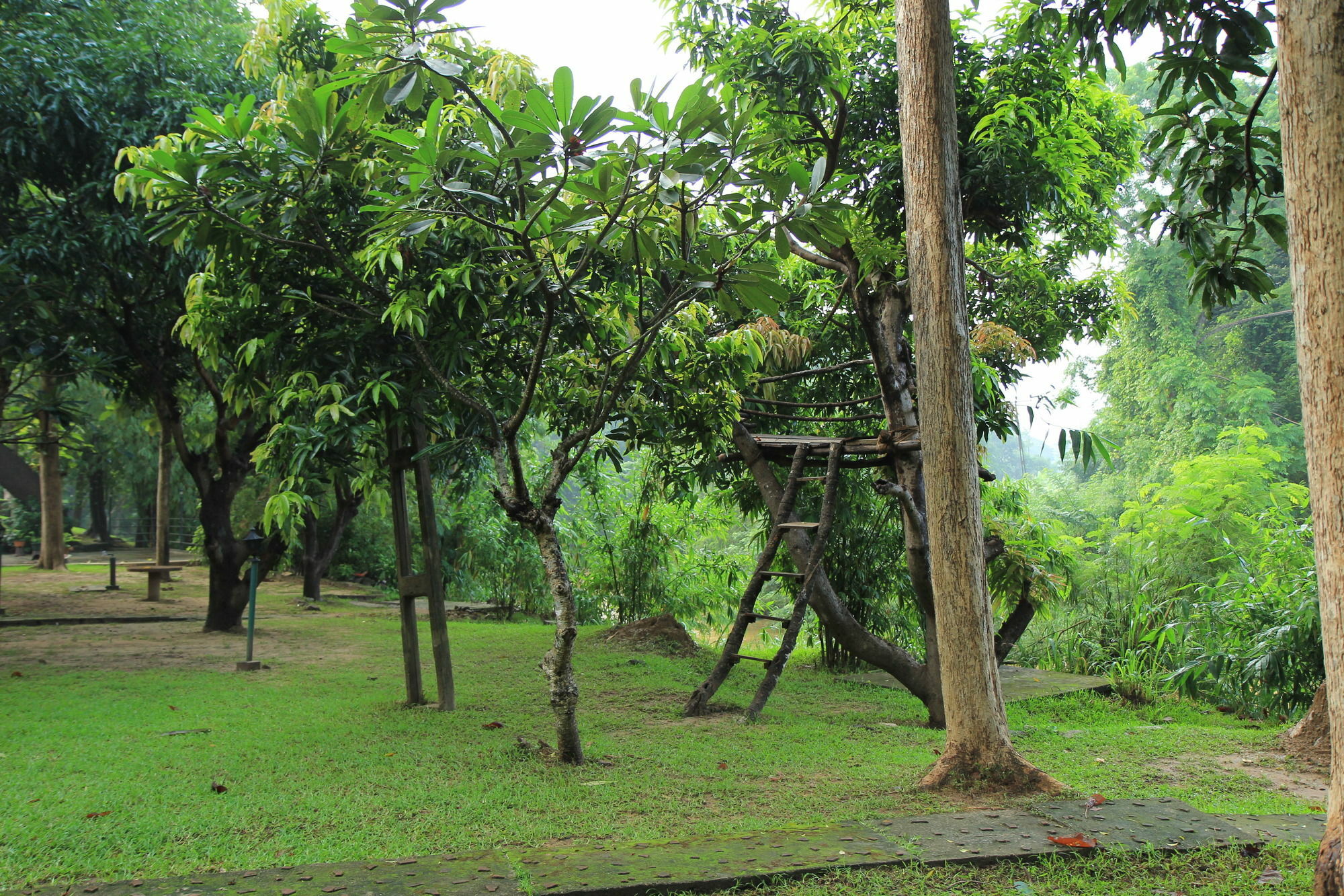 מלון דמבולה Dambulu Oya Family Park מראה חיצוני תמונה